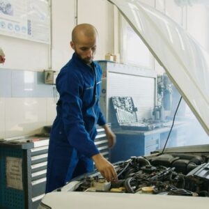 Inspección